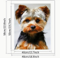 Preview: Malen nach Zahlen Yorkshire Terrier